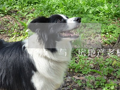 律师 与 房地产老板 律师 与 房地产老板